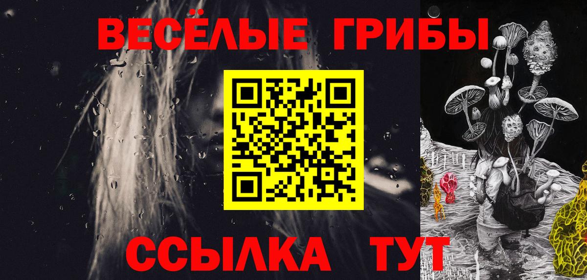 Псилоцибиновые грибы GOLDEN TEACHER Кировск