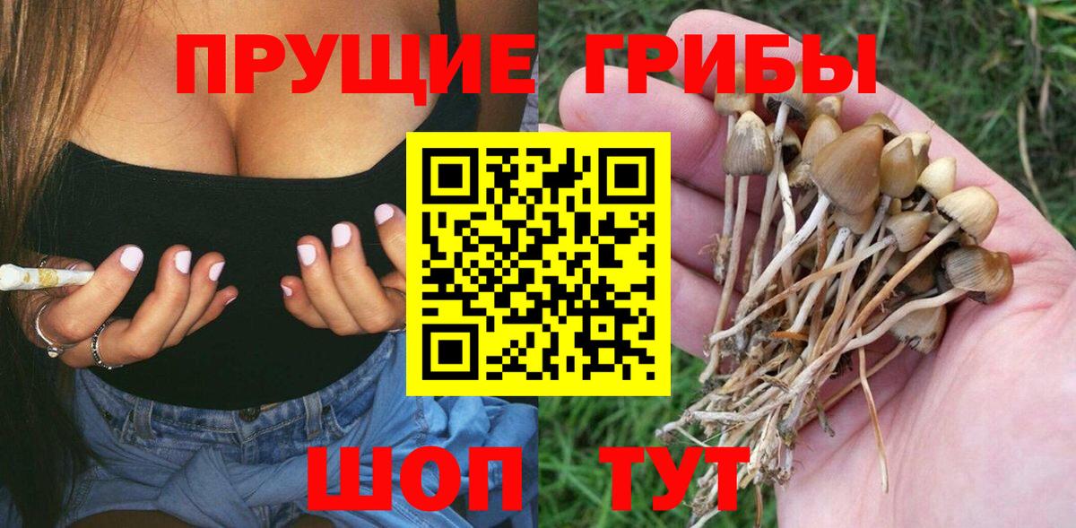 COCAIN  Каннабис  ГАШИШ  Кировск  Вход с VPN  Мефедрон  Меф  