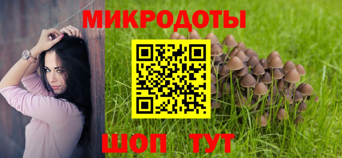 Галлюциногенные грибы мицелий  Вход с VPN  Кировск 